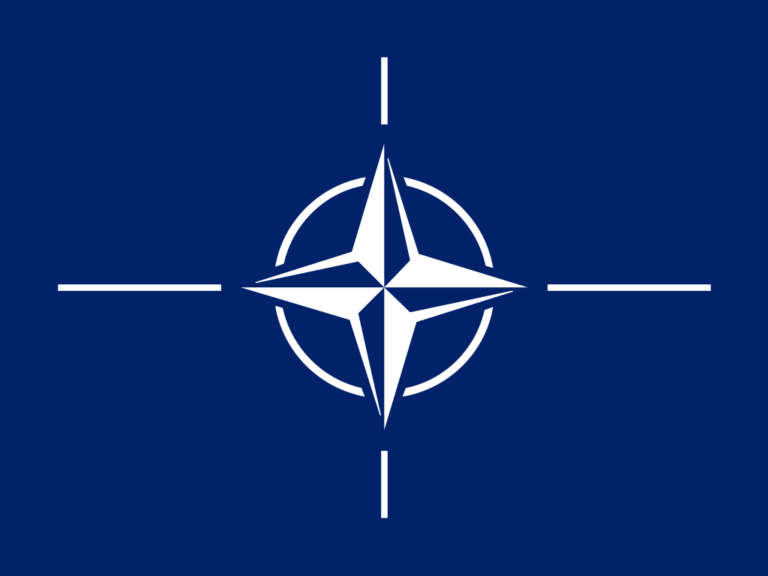 Zum NATO Beitritt Finnlands und Schwedens