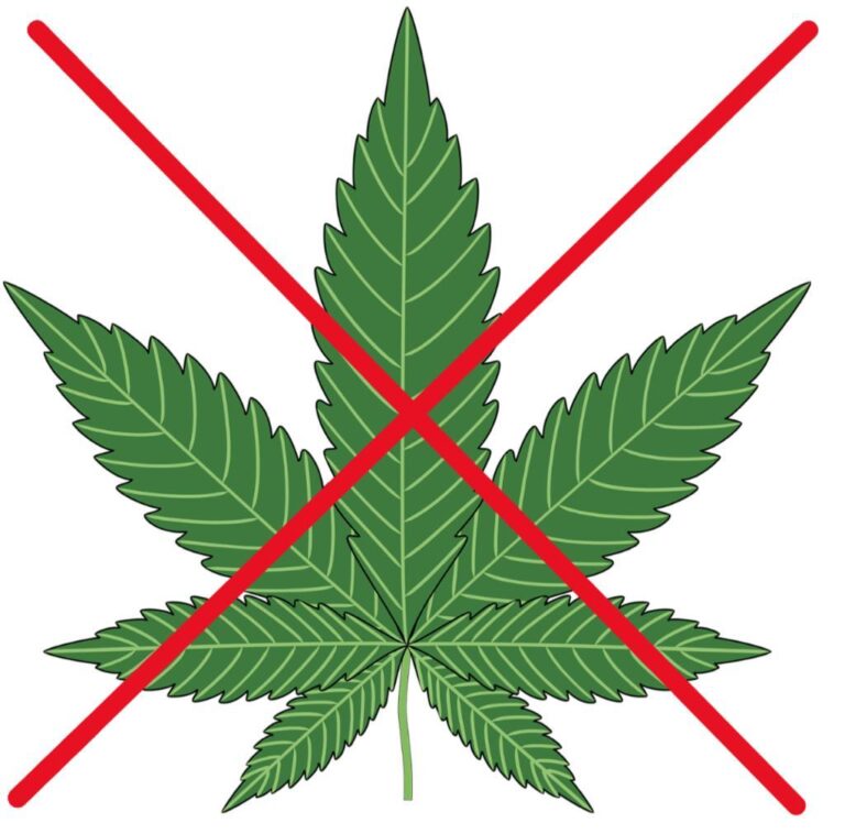 Cannabis-Legalisierung stoppen! #nichtmitunserenkindern