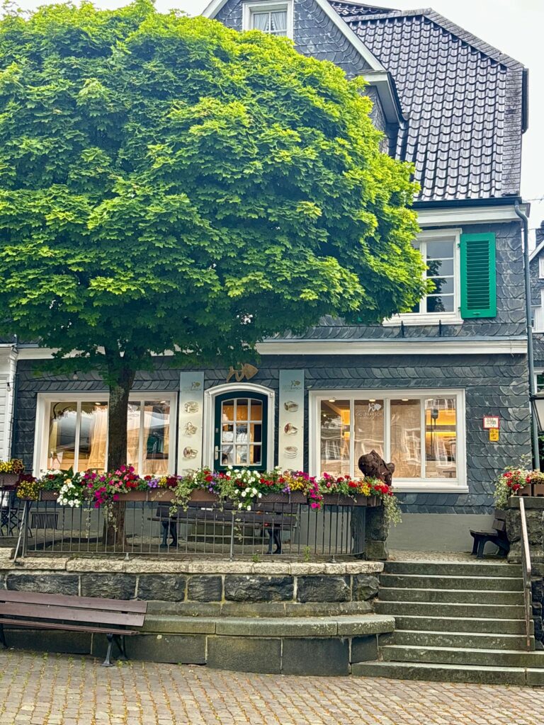 Bericht über den Wahlkreisbesuch von Rozite 