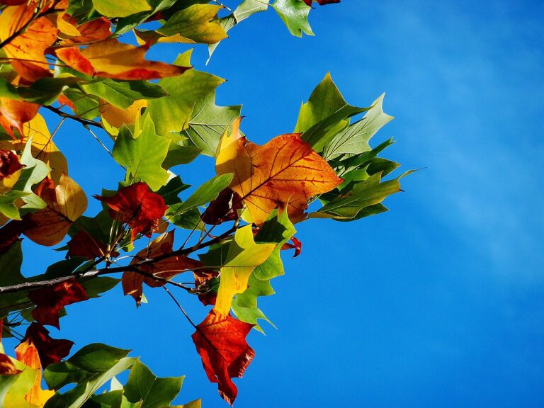 Herbst der Reformen – Deutschland voranbringen
